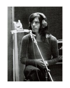 _Mick in Studio_ by Bill Wyman