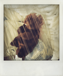 _Teddy in a Garbage Bag_ by Nick Cave